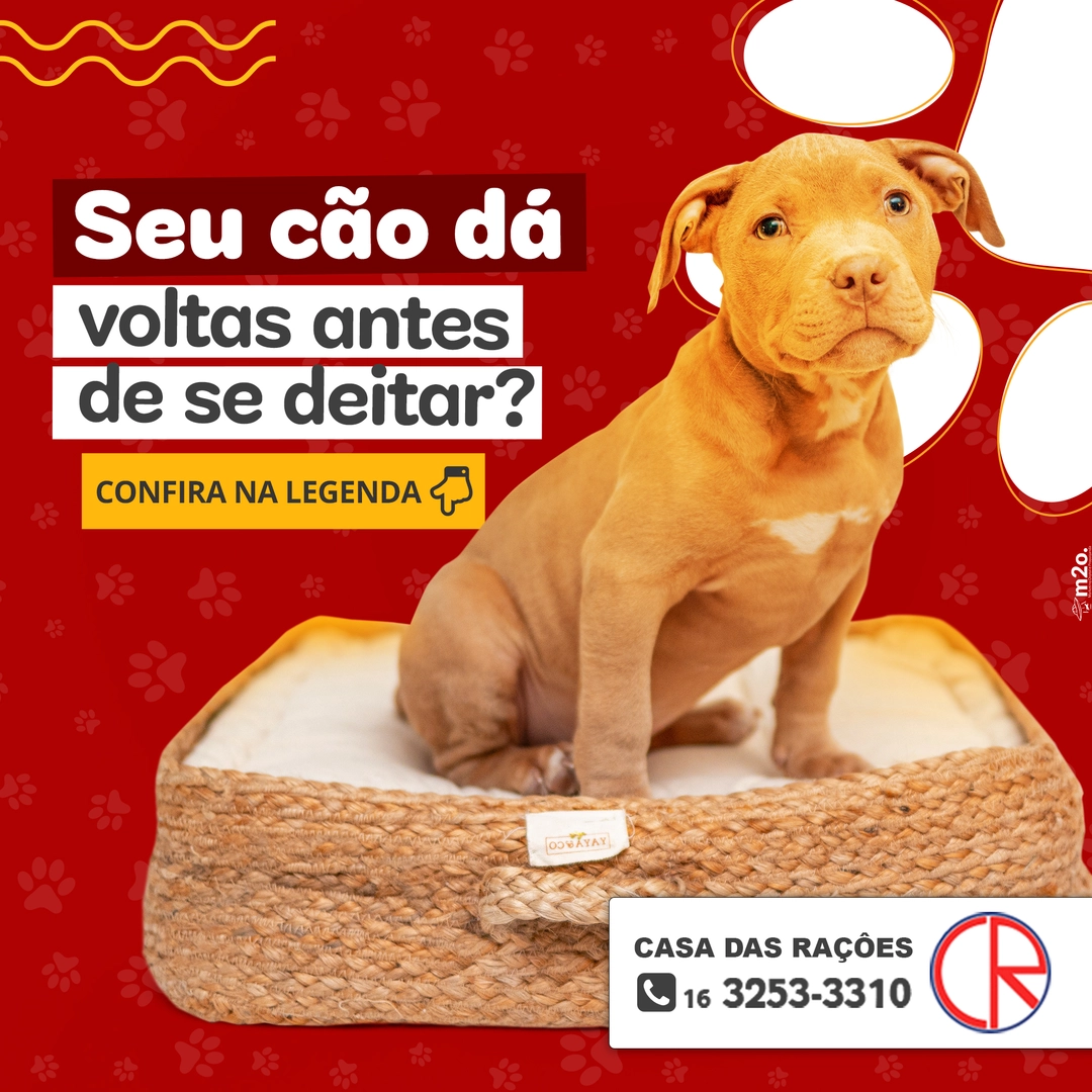 Design gráfico para campanhas de inbound marketing